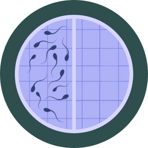 Azoospermia